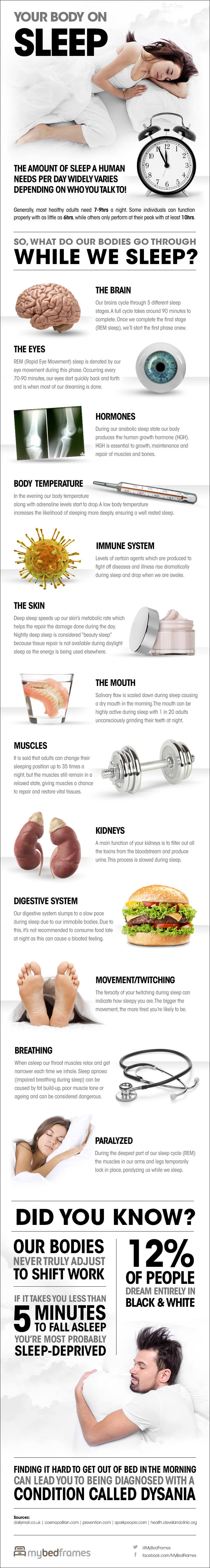 Your Body On Sleep [Infographic]